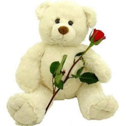 Teddy Bear Gift Lahore - SameDayFlowers.pk