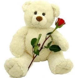 Online Gifts Pakistan - Same Day Flowers