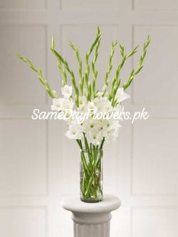 Same Day Flowers Karachi - SameDayFlowers.pk