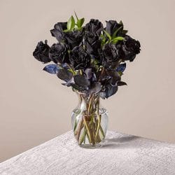 Black Rose Delivery Pakistan - SameDayFlowers.pk