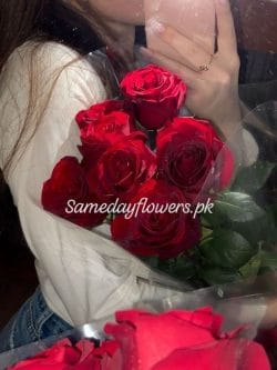 Purchase Now 6 Imported Roses - Same Day Flowers
